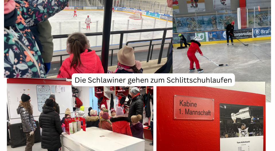 Die Schlawiner gehen zum Schlittschuhlaufen